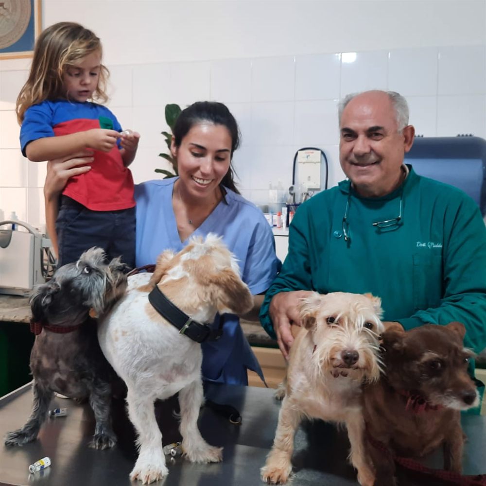 Il Dr. Quinto Puddu e lo staff in sala visite con quattro cani